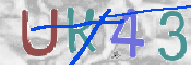 キャプチャ画像