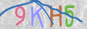 キャプチャ画像