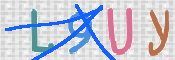 キャプチャ画像