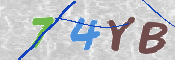 キャプチャ画像
